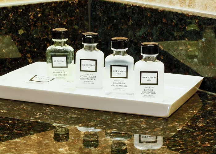 The Drake Oak Brook, Autograph Collection 4*